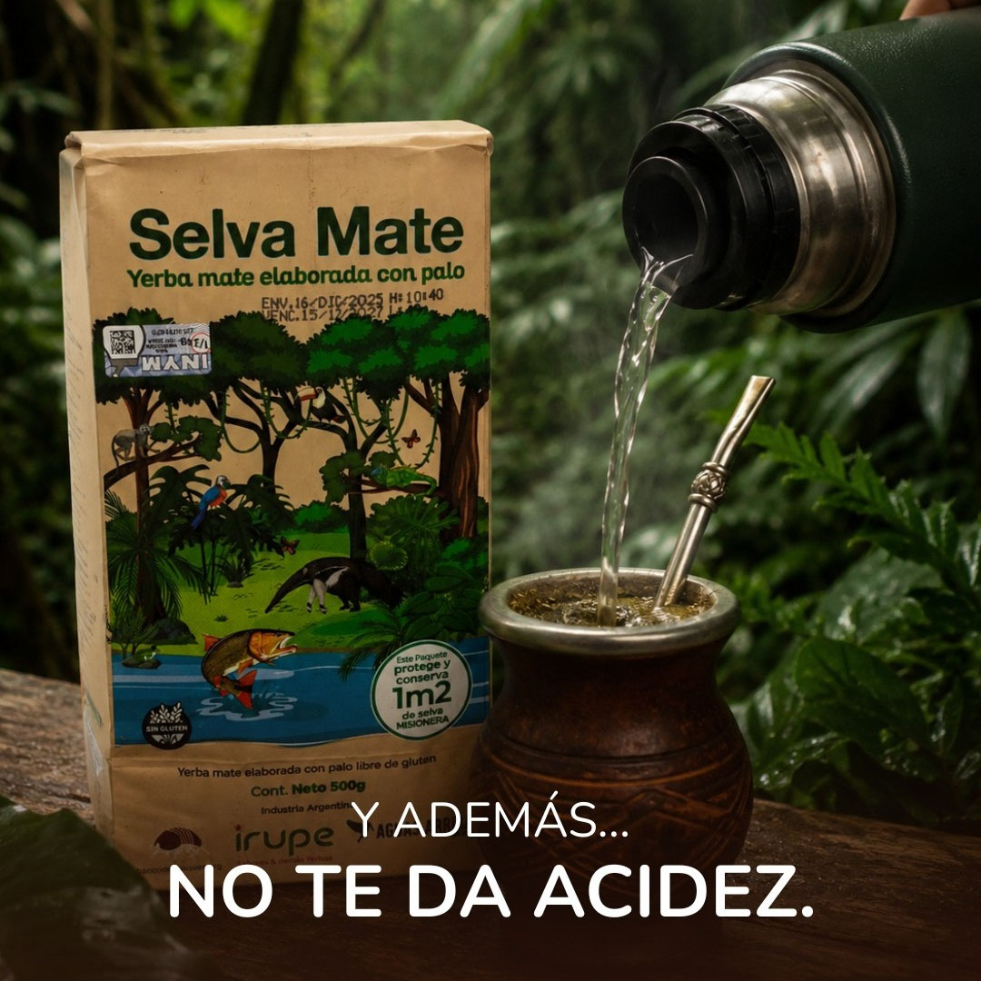Selva Mate Traditional Yerba Maté Tea 500g (klasszikus lágyság a mindennapokra) - Image 2